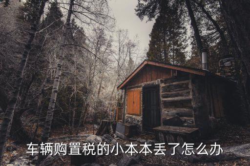購置稅本丟失如何補辦，車輛購置稅完稅證明本丟了怎么補辦