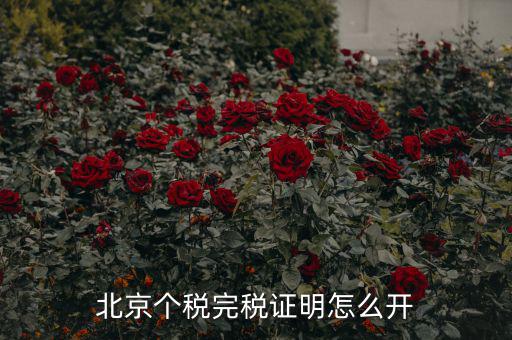 北京如何打印個人所得稅完稅證明，北京個稅完稅證明怎么開