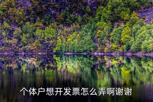 個(gè)體戶想開(kāi)發(fā)票怎么弄啊謝謝