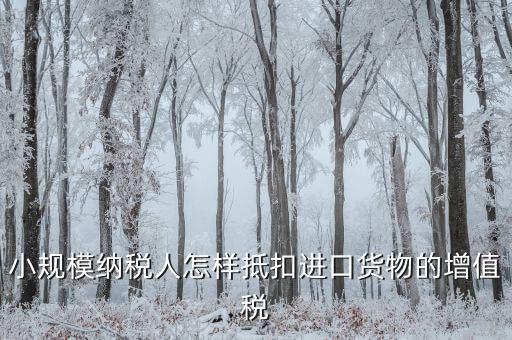 小規(guī)模如何抵扣進項，小規(guī)模增值稅怎么抵扣