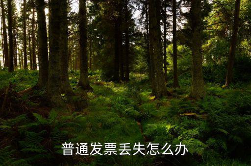 普票發(fā)票聯(lián)丟失如何入賬，企業(yè)開具的增值稅普通發(fā)票記賬聯(lián)丟失怎么處理