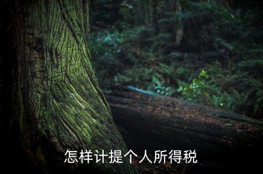 個人所得稅如何計提，如何計提個人所得稅