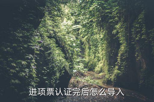 抵扣票如何認證系統(tǒng)下載，增值稅發(fā)票怎樣自己認證需要下載什么軟件什么步驟呢