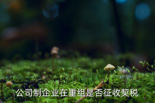 企業(yè)改制契稅減免如何辦理，公司制企業(yè)在重組是否征收契稅