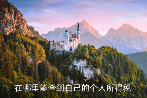 如何查看自己交稅，怎么查自己交了多少稅