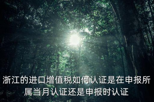 浙江國稅進口發(fā)票如何認證，浙江的進口增值稅如何認證是在申報所屬當月認證還是申報時認證