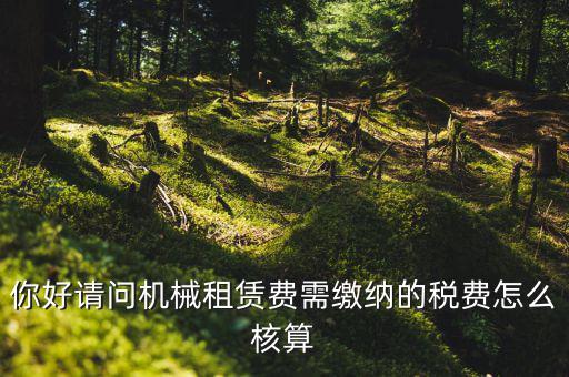 你好請(qǐng)問機(jī)械租賃費(fèi)需繳納的稅費(fèi)怎么核算