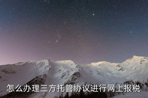 怎么辦理三方托管協(xié)議進(jìn)行網(wǎng)上報稅