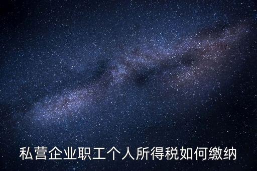 公司如何交個人所得稅，公司給員工發(fā)工資應(yīng)該怎么繳納個稅啊比如