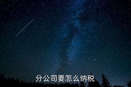 分支機(jī)構(gòu)如何納稅，分支機(jī)構(gòu)增值稅怎樣繳納