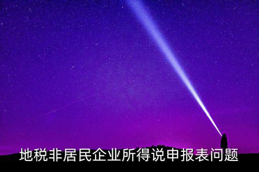 扣繳非居民所得稅報告表指什么，扣繳個人所得稅報告表30