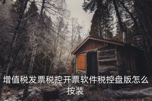 增值稅發(fā)票稅控開票軟件稅控盤版怎么按裝