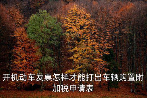 開機(jī)動(dòng)車發(fā)票怎樣才能打出車輛購置附加稅申請(qǐng)表