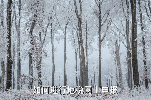 地稅如何進行網上申報，如何進行地稅網上申報