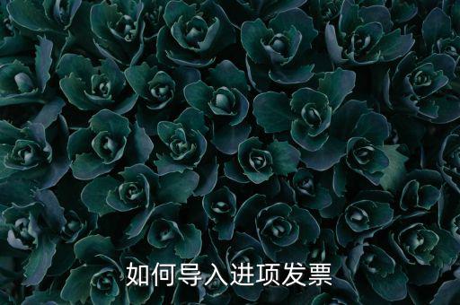如何導入發(fā)票，如何導入進項發(fā)票