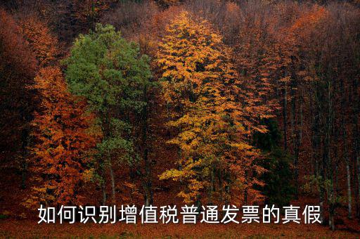 普票如何辨別真假，普通發(fā)票怎么查真?zhèn)?/></a></span><span id=