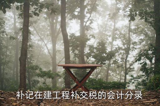 建筑業(yè)增值稅如何補(bǔ)繳，補(bǔ)記在建工程補(bǔ)交稅的會(huì)計(jì)分錄