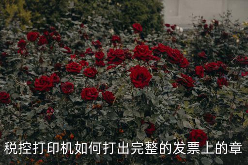 如何打印帶章的發(fā)票，電腦上的章怎么弄到發(fā)票上
