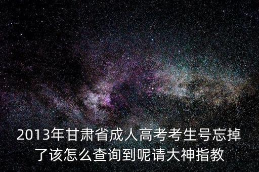 甘肅省如何查號，2013年甘肅省成人高考考生號忘掉了該怎么查詢到呢請大神指教