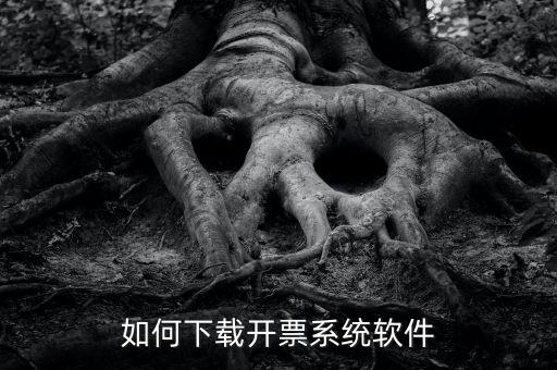 發(fā)票軟件如何下載軟件，怎么安裝稅控發(fā)票開(kāi)票軟件v20