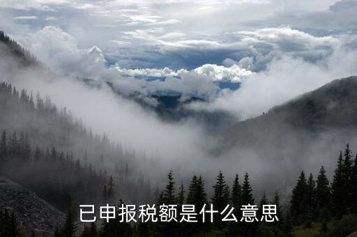 武漢稅務年報是什么意思，報告年度所得稅什么意思