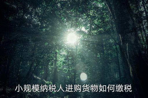 小規(guī)模納稅人如何交稅，小規(guī)模納稅人進(jìn)購貨物如何繳稅