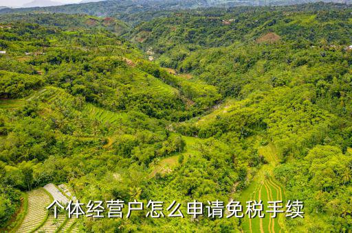 如何申請(qǐng)個(gè)體工商戶免稅，個(gè)體經(jīng)營(yíng)戶怎么申請(qǐng)免稅手續(xù)