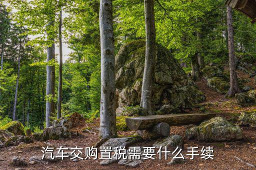 車輛購置稅如何辦理，購買車輛購置稅需要哪些手續(xù)