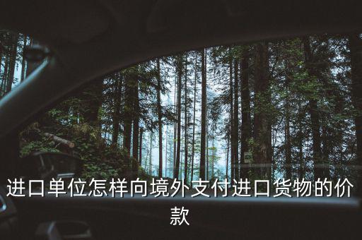 企業(yè)如何境外付款嗎，進口單位怎樣向境外支付進口貨物的價款