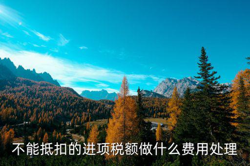 進項稅不讓抵扣后如何處理，不能抵扣的進項稅額做什么費用處理