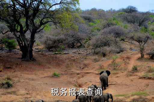 如何查詢稅務(wù)申報表，怎么查詢歷史財務(wù)報表和納稅申報表