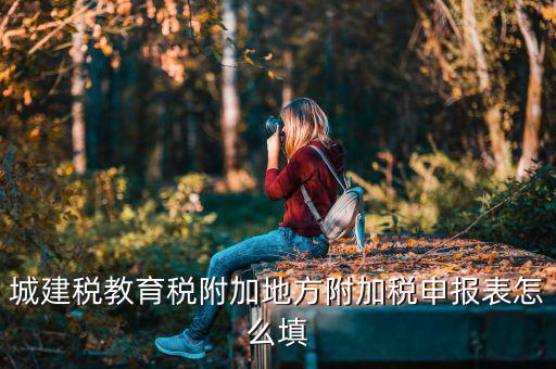 新城建稅附加表如何填，網(wǎng)上申報(bào)城建稅教育附加稅怎么填