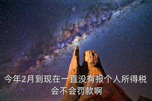 個稅申報不報會如何，個人所得稅自行申報不去做有什么危害