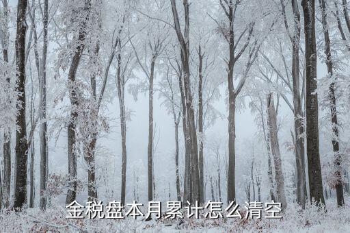 金稅盤如何清稅盤，金稅盤如何清卡解鎖