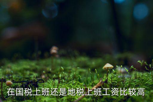 地稅局發(fā)展如何，我要考天津稅務(wù)局想問市區(qū)各地稅局和濱海地稅一分局哪個好呢