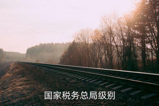 國家稅務(wù)總局是什么級(jí)別，國家稅務(wù)總局是什么級(jí)別
