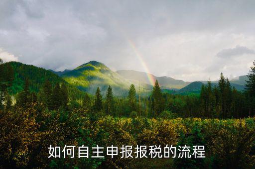 如何進行稅務(wù)申報，個體戶如何申報稅