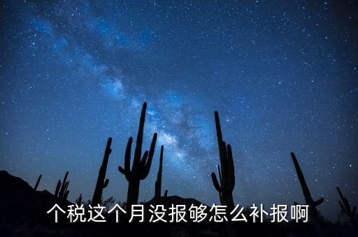 如何補報個人所得稅，個人所得稅報錯了怎么補報