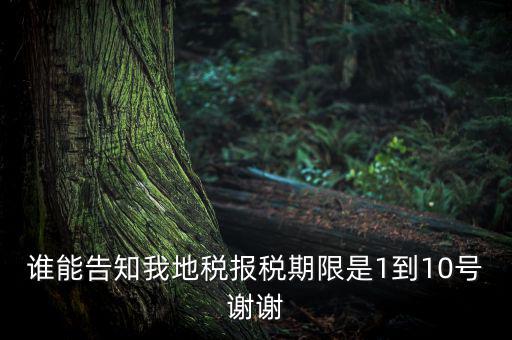 地稅的報(bào)稅期是什么時(shí)候，地稅中的年度財(cái)務(wù)報(bào)表申報(bào)期限是什么時(shí)候