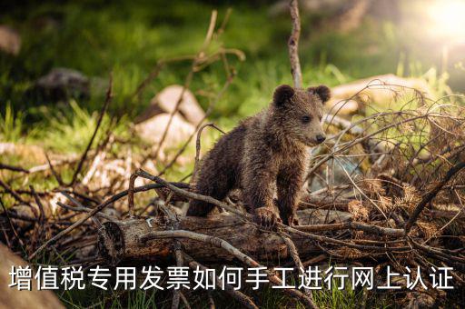 如何手工認證發(fā)票，網上發(fā)票認證怎么手工輸入