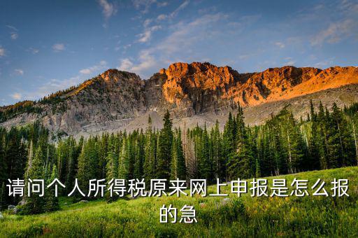 個人所得稅如何網(wǎng)上申報，個人所得稅網(wǎng)上申報流程