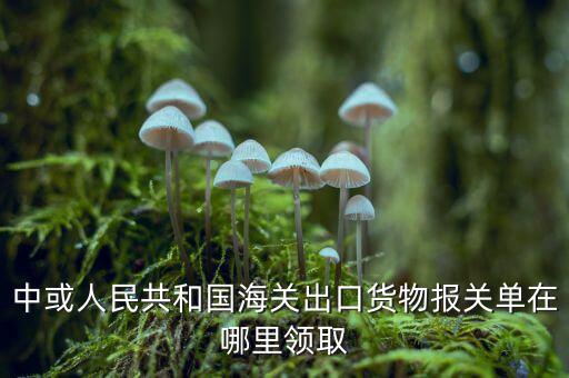 出口報關(guān)單如何取得，中或人民共和國海關(guān)出口貨物報關(guān)單在哪里領(lǐng)取