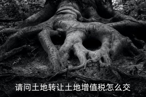 土地增值稅如何繳納，請問土地轉(zhuǎn)讓土地增值稅怎么交