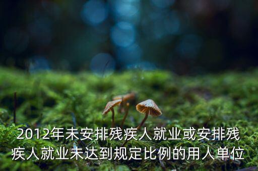 殘保金如何計算，2012年未安排殘疾人就業(yè)或安排殘疾人就業(yè)未達到規(guī)定比例的用人單位