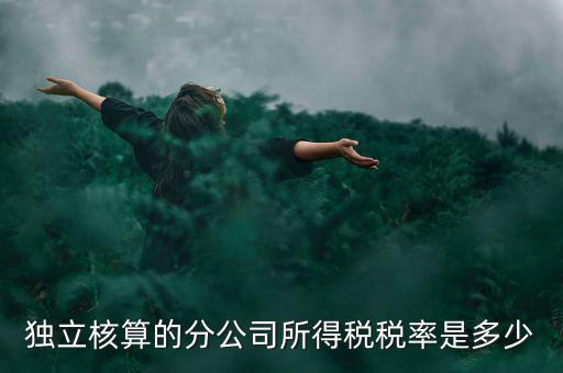 獨立核算的分公司如何納稅，誰知道獨立核算的同城分公司如何繳稅