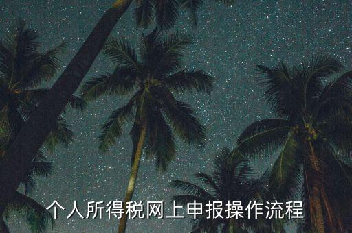 上海個人所得稅如何申報，上海企業(yè)如何交個人所得稅