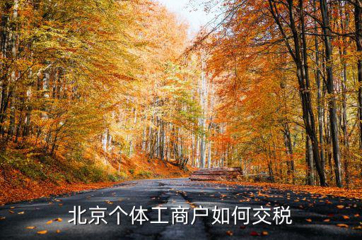 北京個(gè)體如何繳稅，北京個(gè)體戶怎么交稅