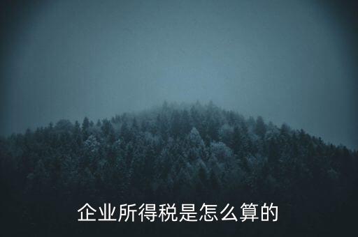 公司所得稅如何計算，企業(yè)所得稅該怎么計算