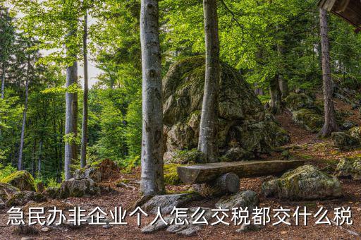 民非企業(yè)如何納稅申報，民辦非企業(yè)單位如何繳納個人所得稅