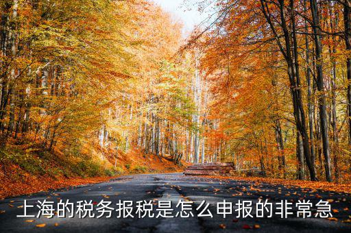 上海市國(guó)地稅如何申報(bào)，上海地稅是網(wǎng)上報(bào)稅嗎采取什么方式申報(bào)